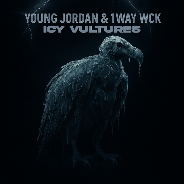 ICY VULTURES album cover