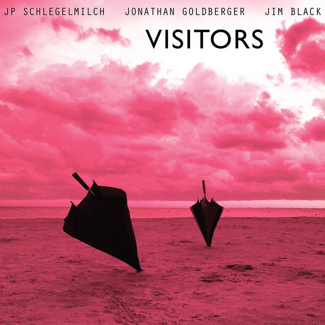 Visitors album cover