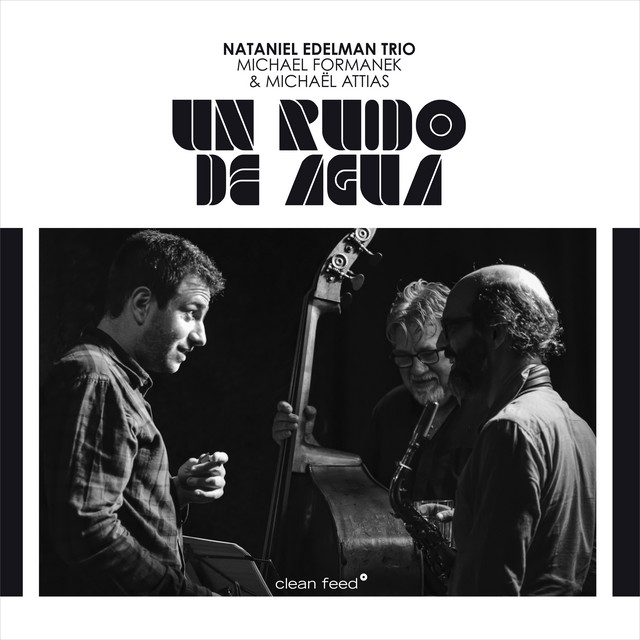 Un Ruido de Agua album cover