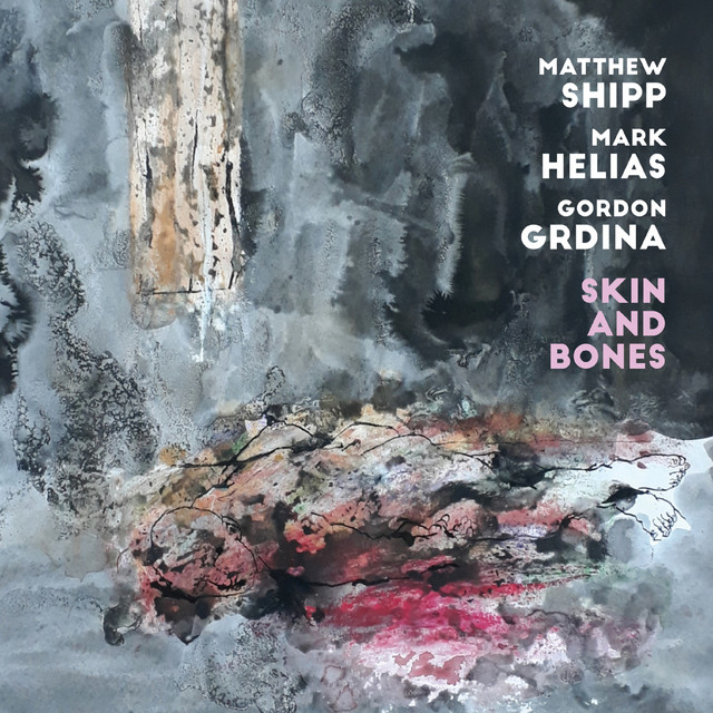 Skin and Bones album cover