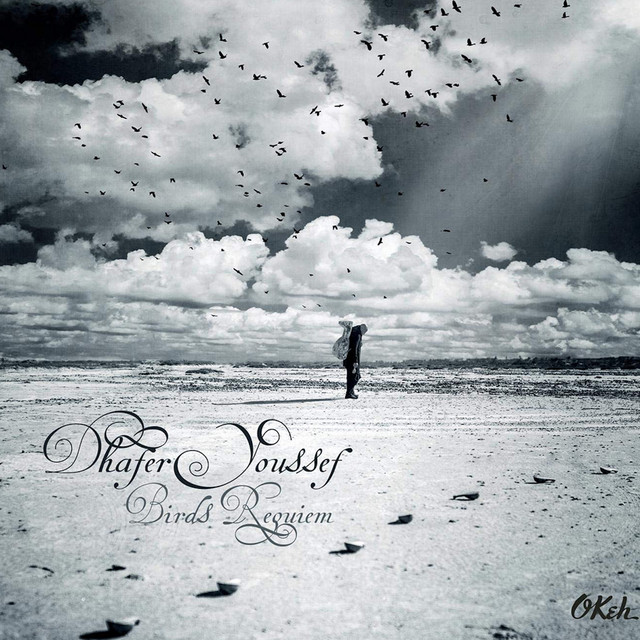 Birds Requiem album cover
