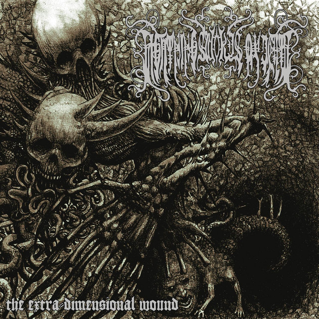 The Extra Dimensional Wound album cover