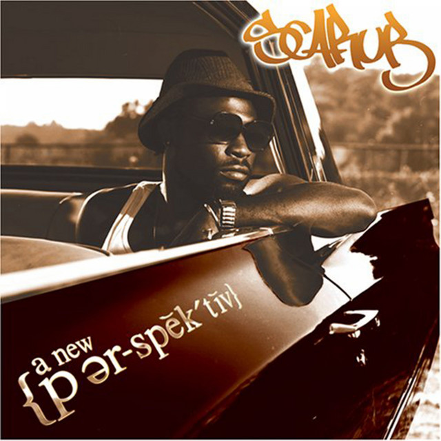 A New Perspective album cover