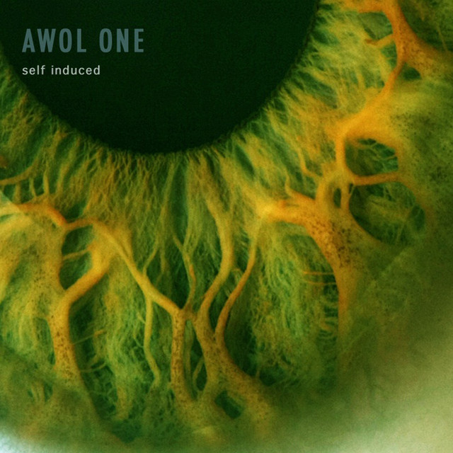 Self Induced album cover