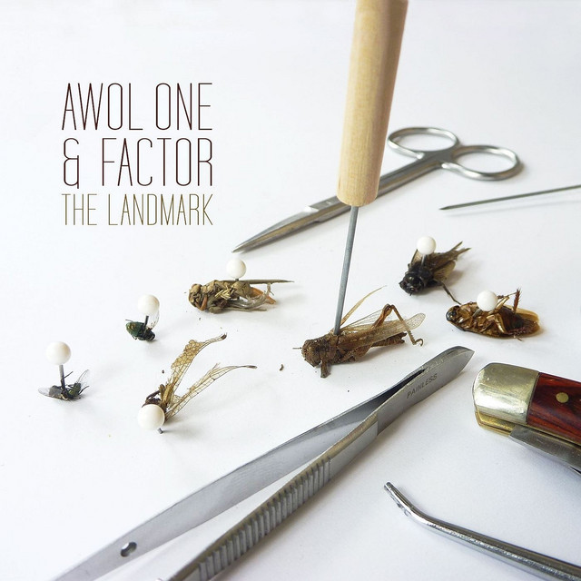 The Landmark album cover