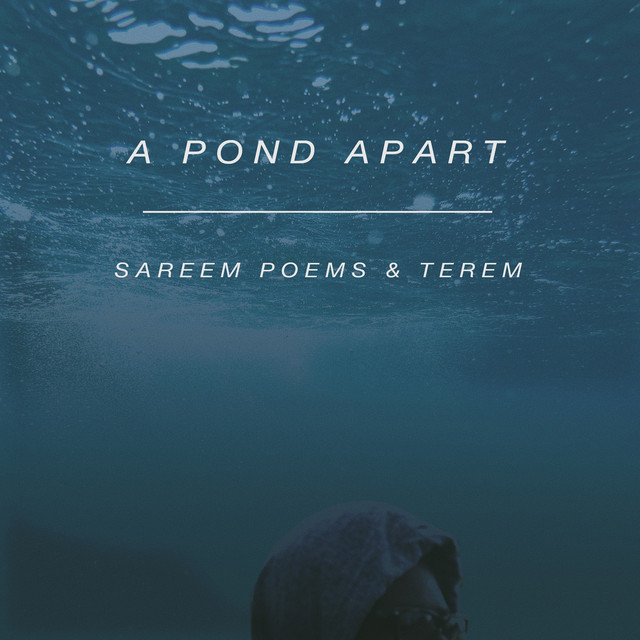A Pond Apart album cover