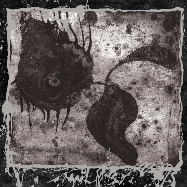 Through the Cervix of Hawaah album cover