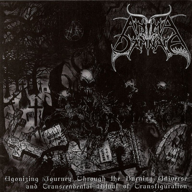 Agonizing Journey Through the Burning‚Ä¶ album cover