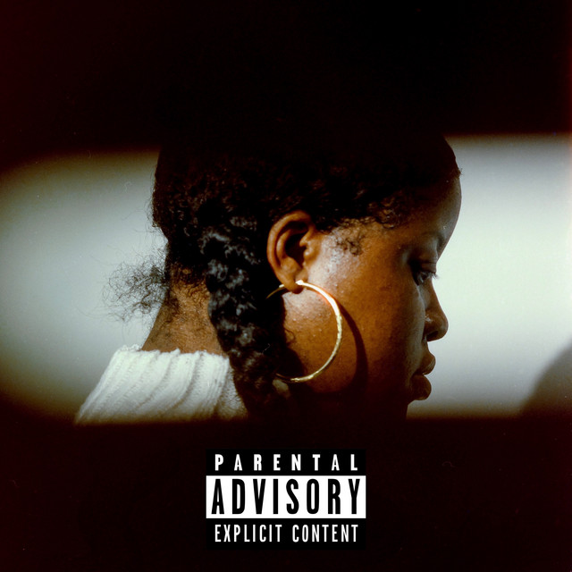 No Validation album cover