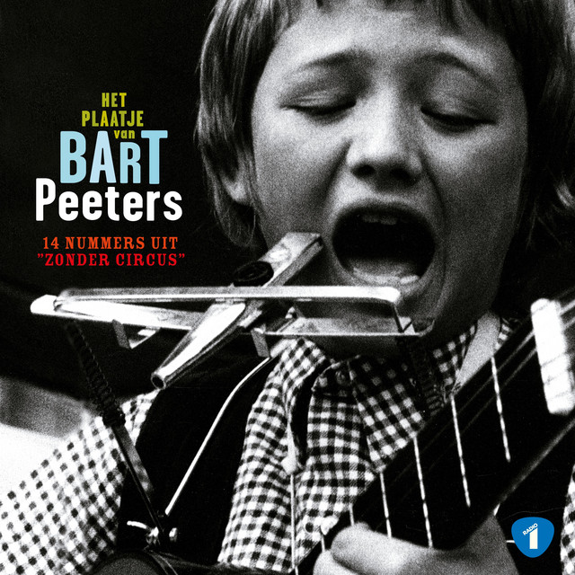 Het Plaatje Van Bart Peeters album cover