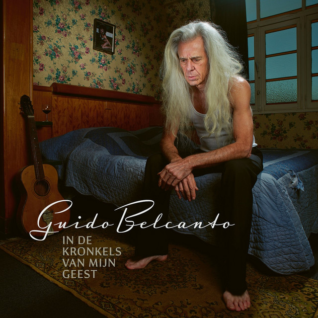 In De Kronkels Van Mijn Geest album cover