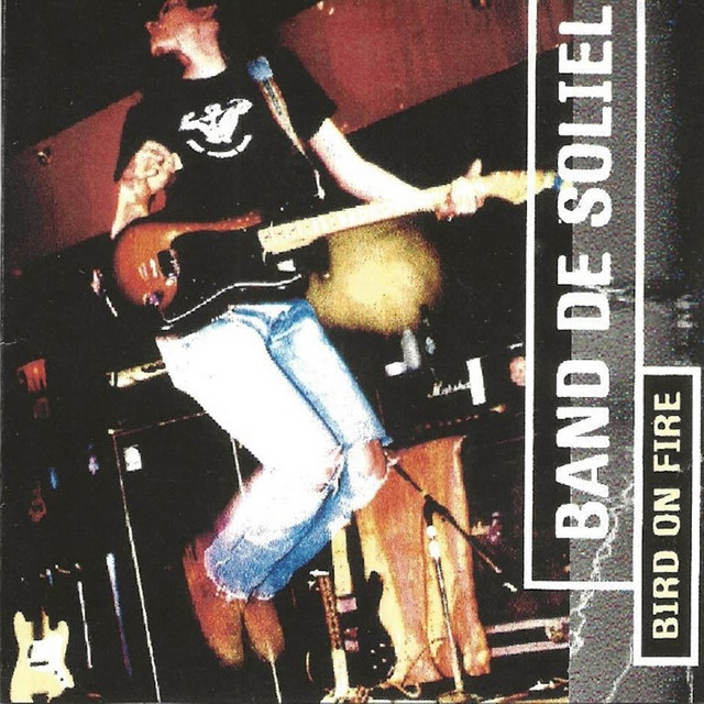 Bird on Fire album cover
