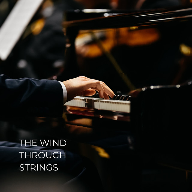 The Wind Through Strings album cover