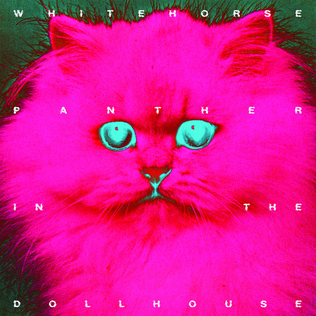 Panther in the Dollhouse album cover