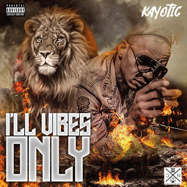 ILL VIBES ONLY album cover