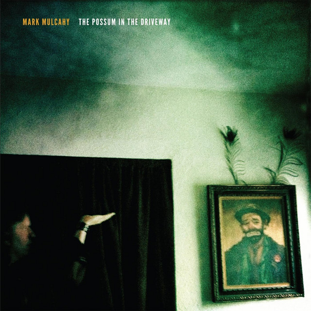 The Possum in the Driveway album cover