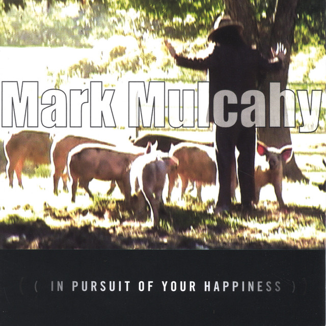 in pursuit of your happiness album cover