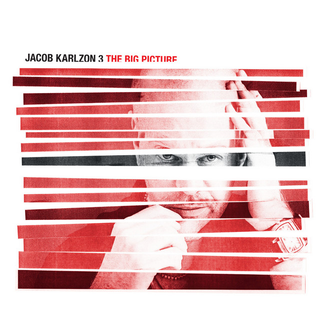 The Big Picture album cover