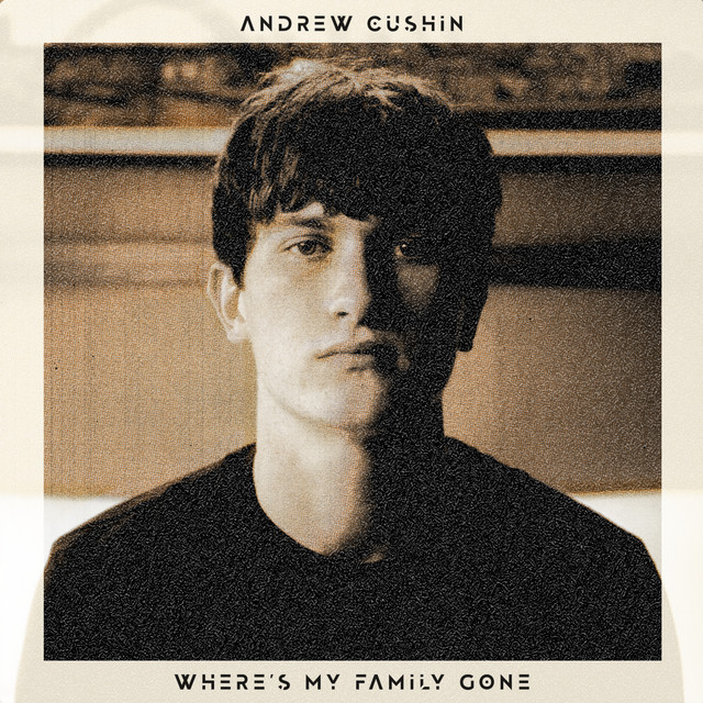 Gibson ES-335 Bigsby as heard on Where's My Family Gone by Andrew Cushin (2020)