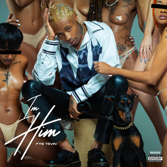 IM HIM album cover