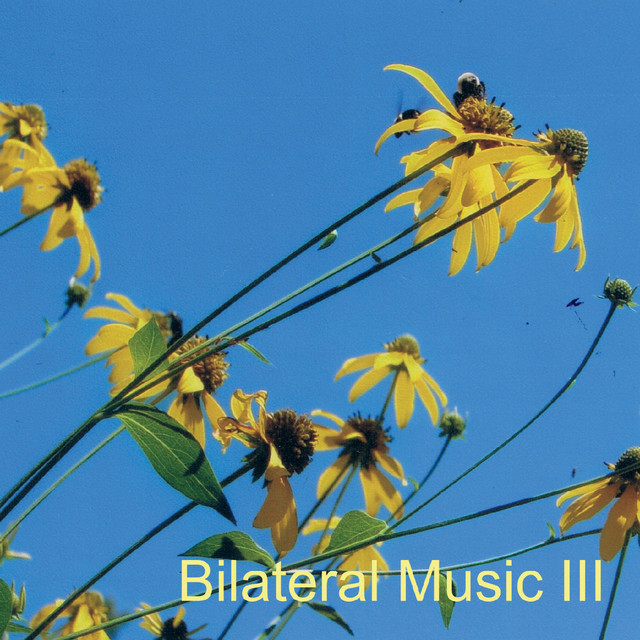 Bilateral Music III album cover