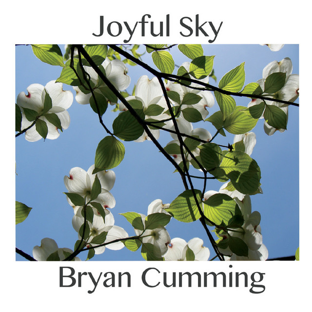 Joyful Sky album cover