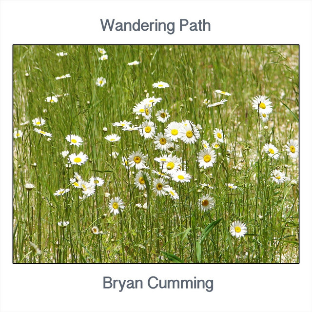 Wandering Path album cover