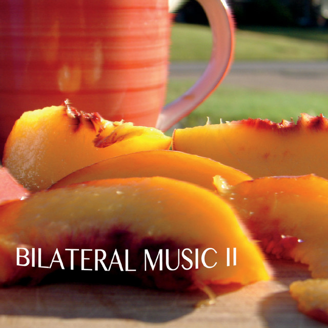 Bilateral Music II album cover