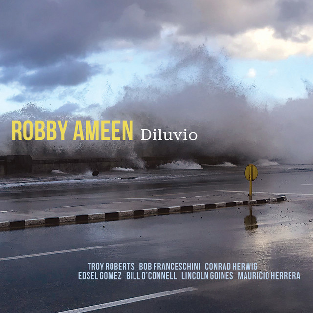 Diluvio album cover