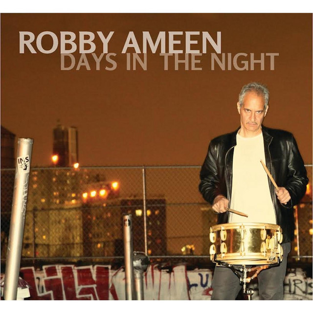 Days in the Night album cover