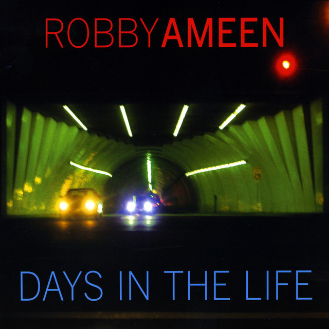 Days in The Life album cover