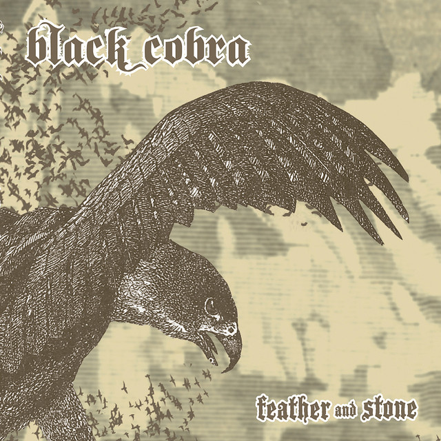 Feather And Stone album cover