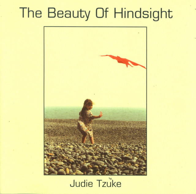 The Beauty Of Hindsight - Vol. 1 album cover