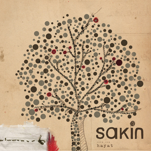 Hayat album cover