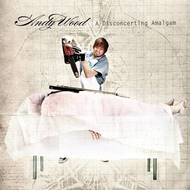 A Disconcerting Amalgam album cover