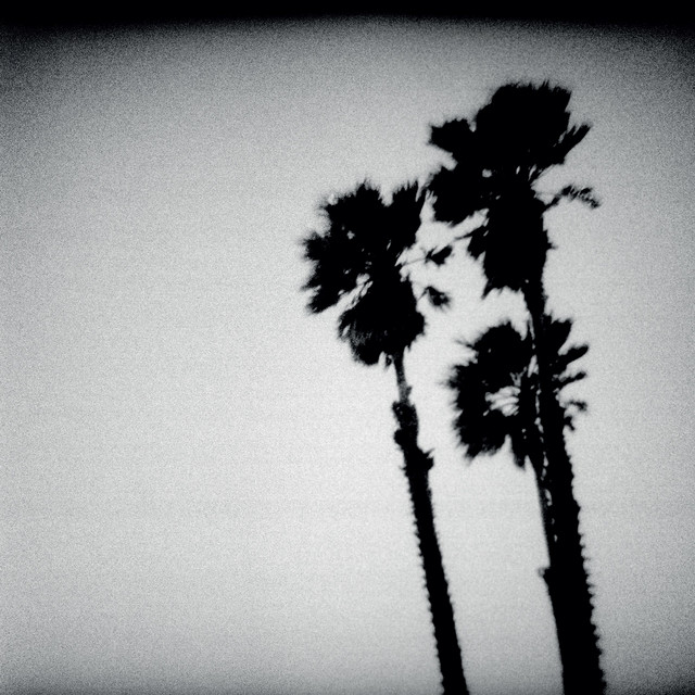 Blackberry Belle album cover