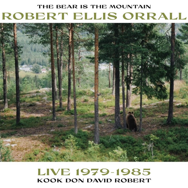 THE BEAR IS THE MOUNTAIN (LIVE 1979-1985) album cover