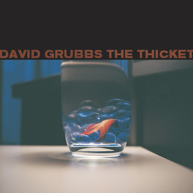 The Thicket album cover