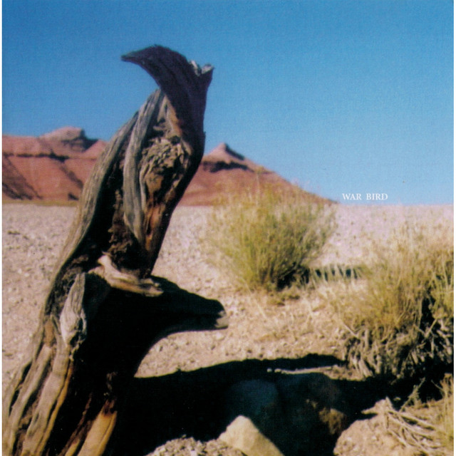 War Bird album cover