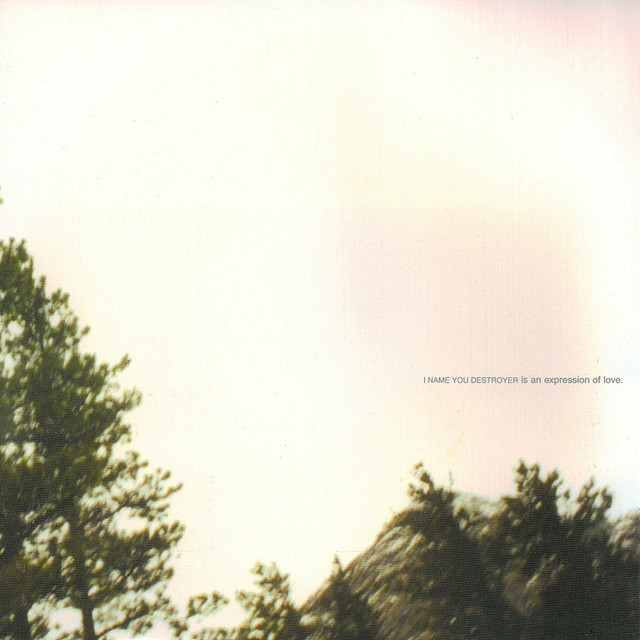 I Name You Destroyer album cover