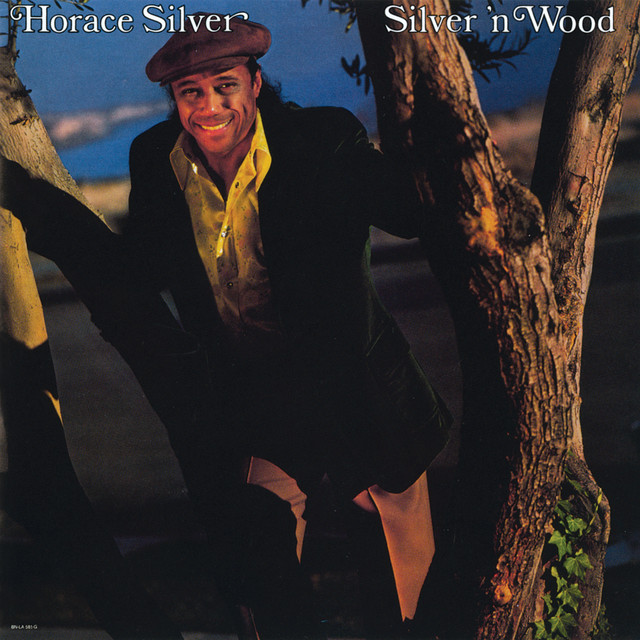 Silver 'N Wood album cover