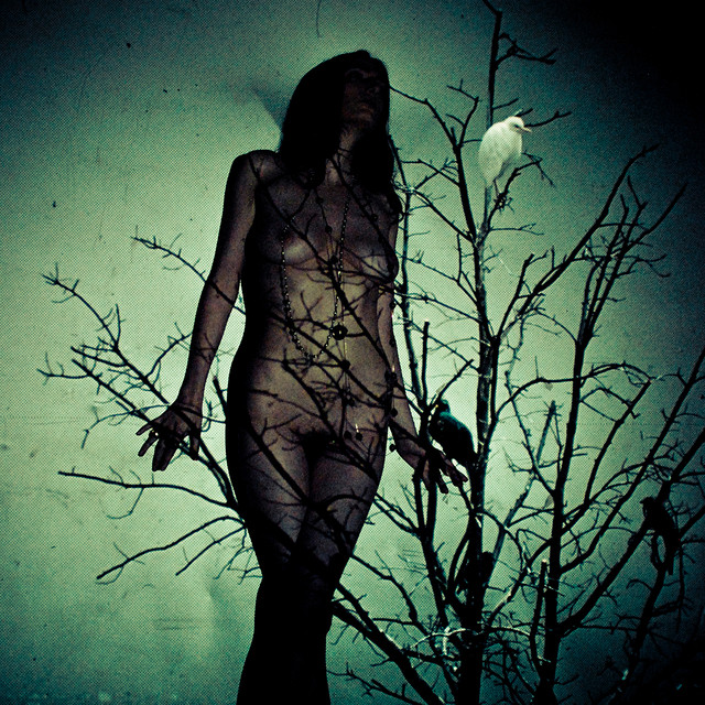 An Ache for the Distance album cover