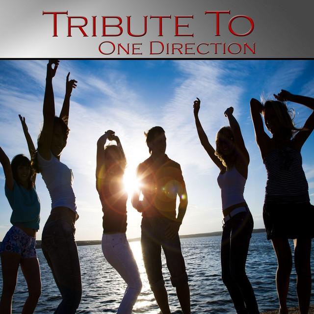 Tribute to One Direction album cover