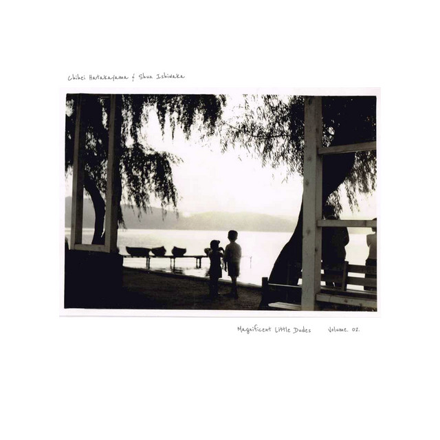 Magnificent Little Dudes, Volume 02. album cover