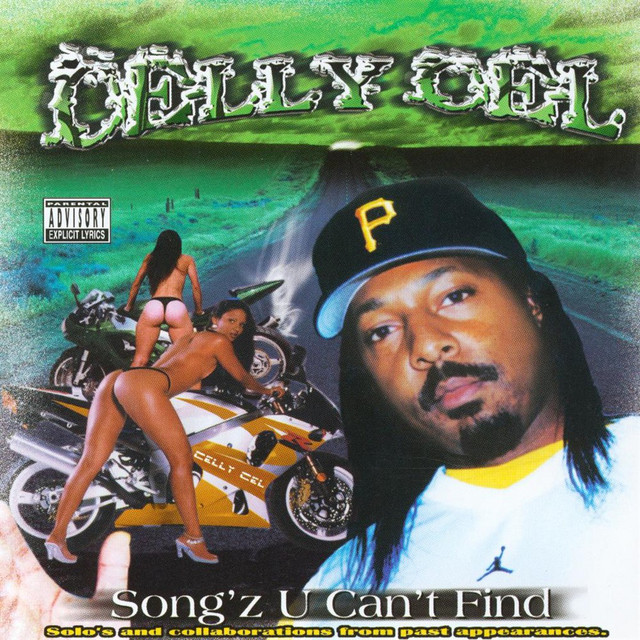 Song'z U Can't Find album cover