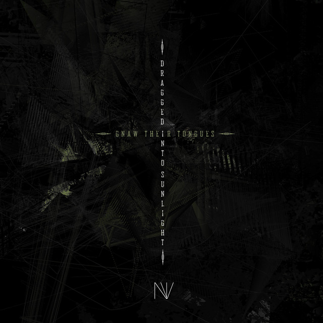 N.V. album cover