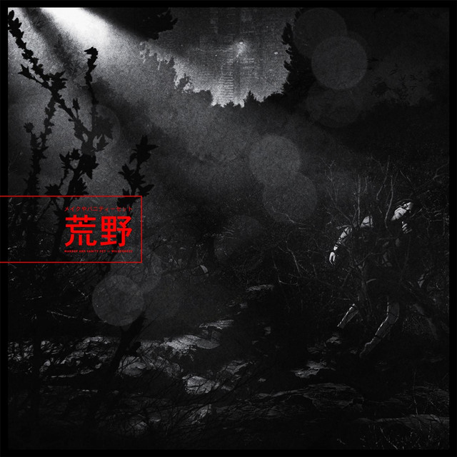 Wilderness album cover