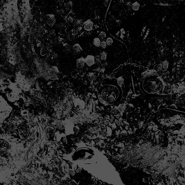 Split album cover