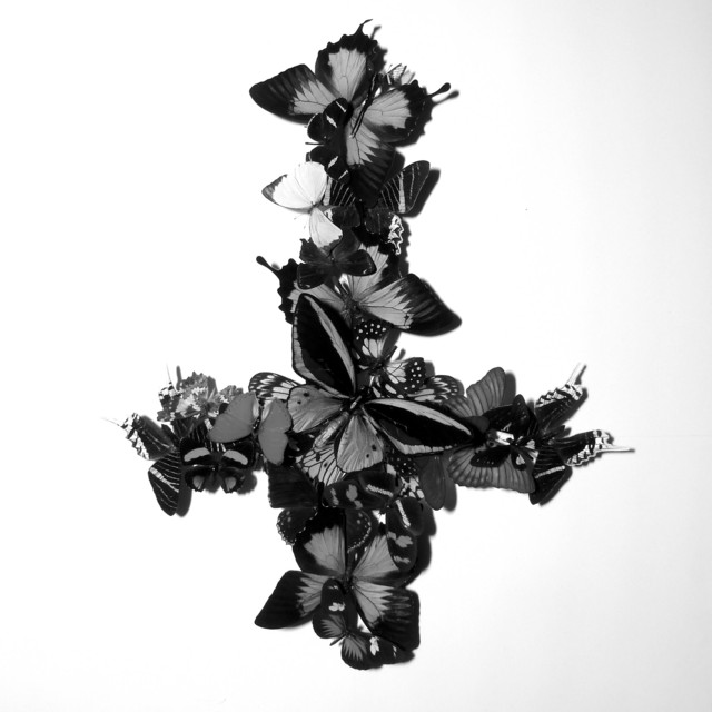 Never Forever album cover