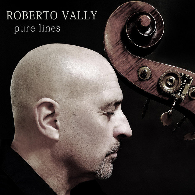 Pure Lines album cover